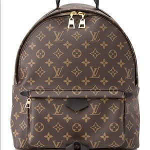 Louis Vuitton Palm Springs MM (Original Zipper)